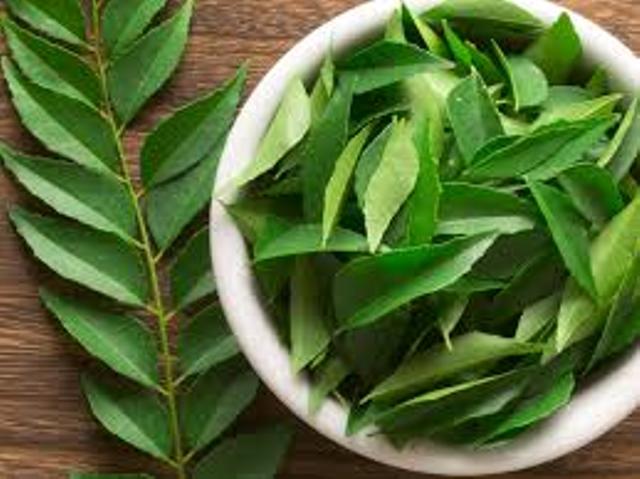 Curry Leaves